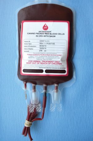 Whole Blood - CPDA (pediatric)